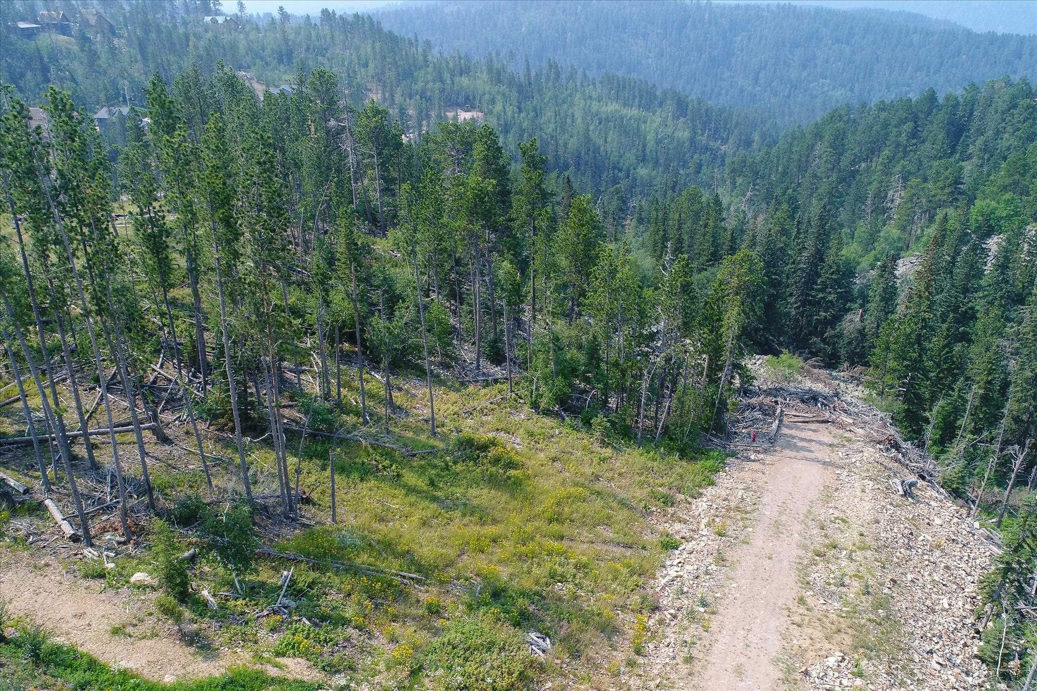 Other - Gold Pan Trail lot: 16 Block 10, Lead, SD
