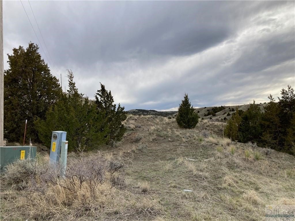 Other - BCA Lot 4 Shaia Way lot: 4, Billings, MT