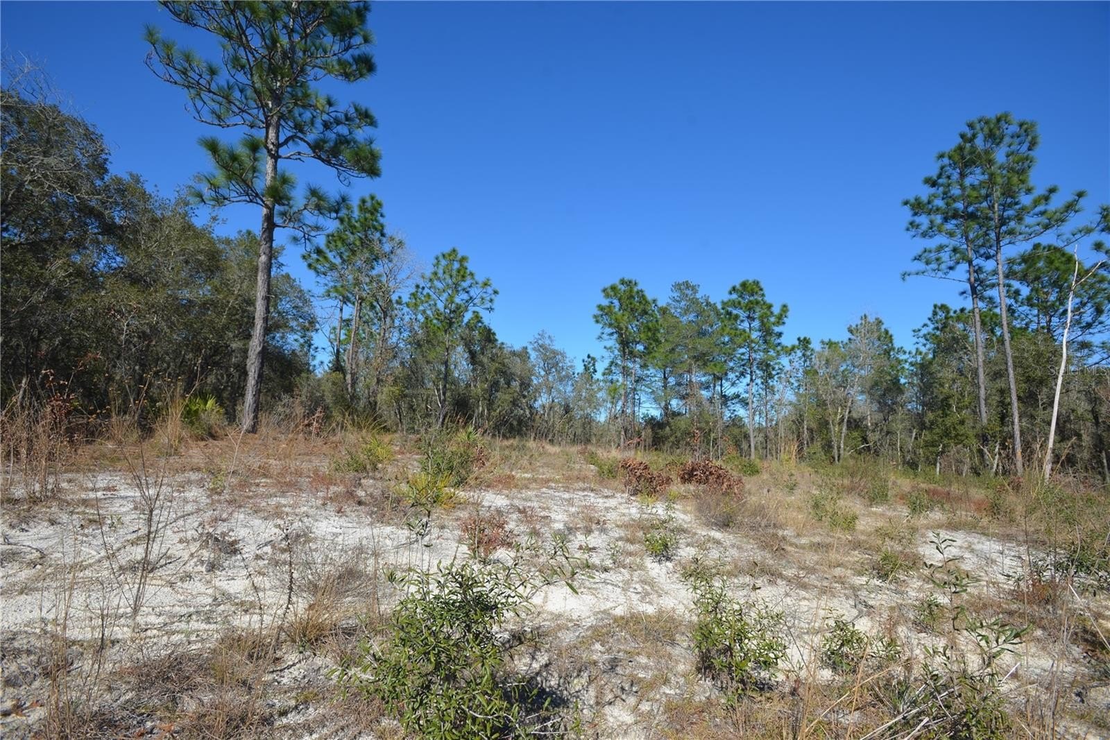 Other - SW 144 PLACE, OCALA, FL