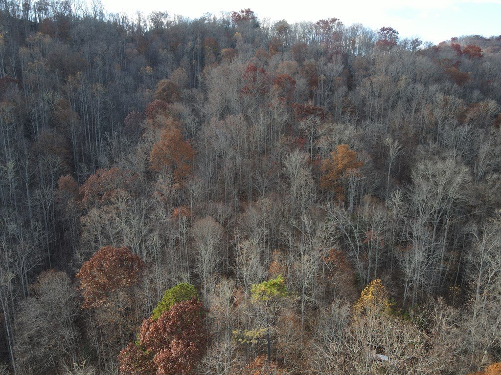 Other - SR 1218 Pinhook Rd, ROBBINSVILLE, NC