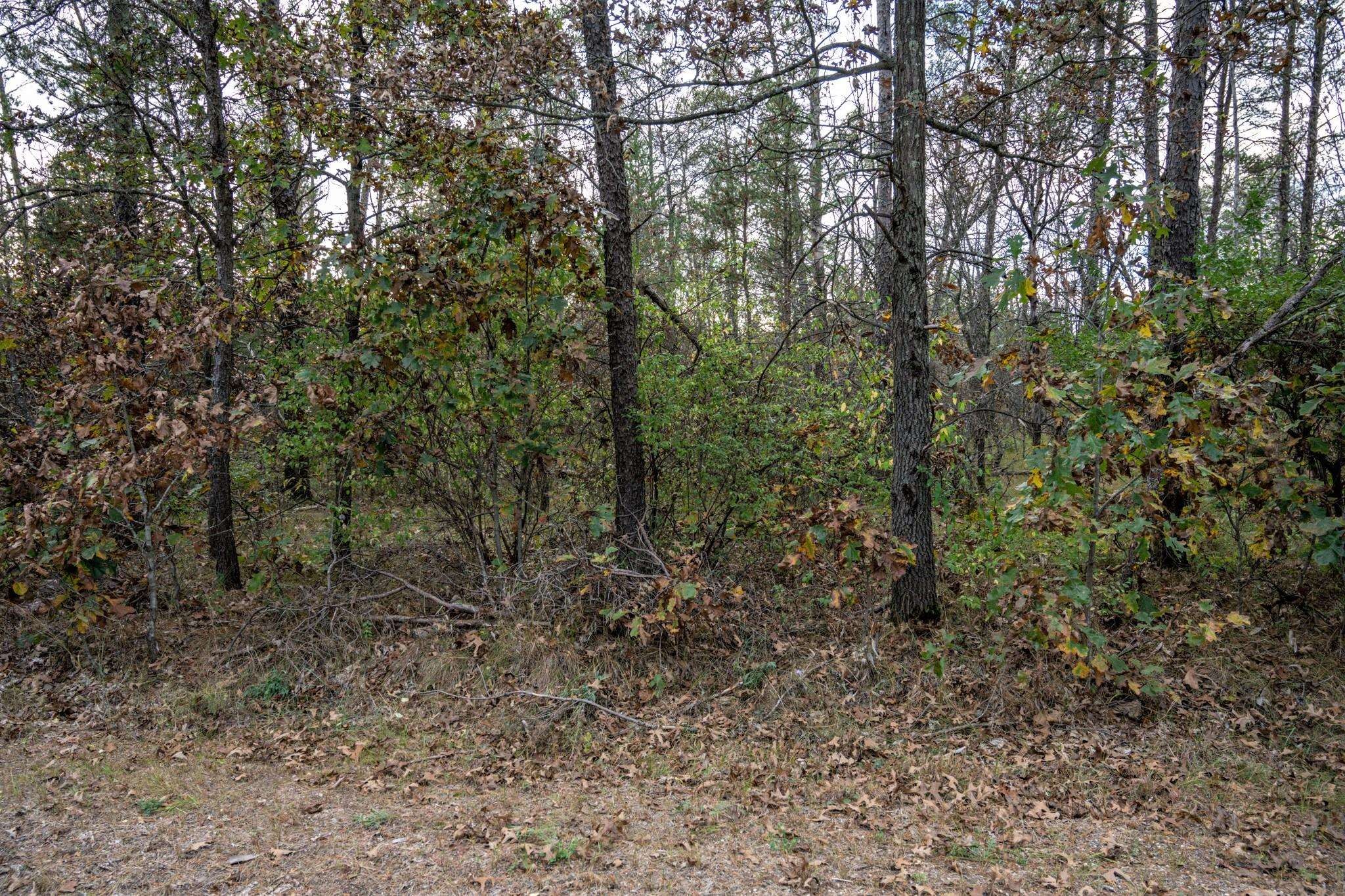 Other - Lots 237 & 242 Woodland Trail, New Lisbon, WI