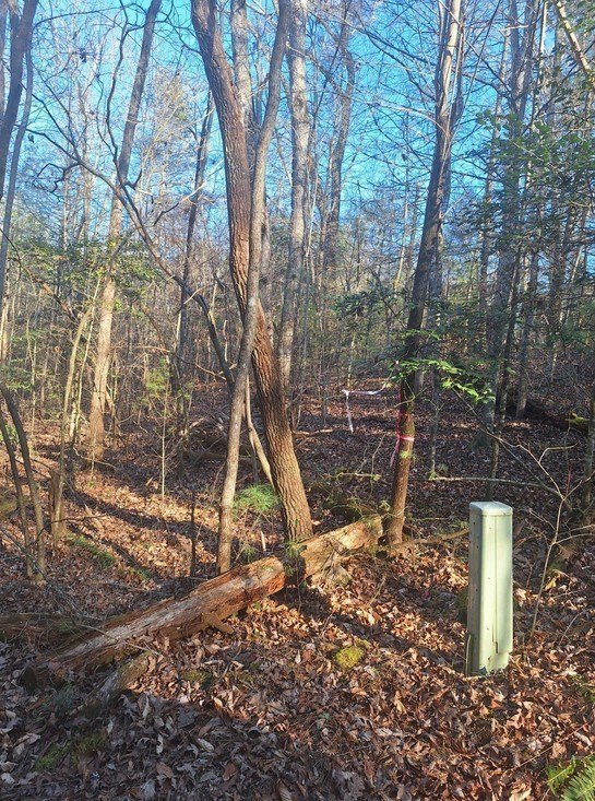 Other - Lots Bent Wood Lane, Blue Ridge, GA