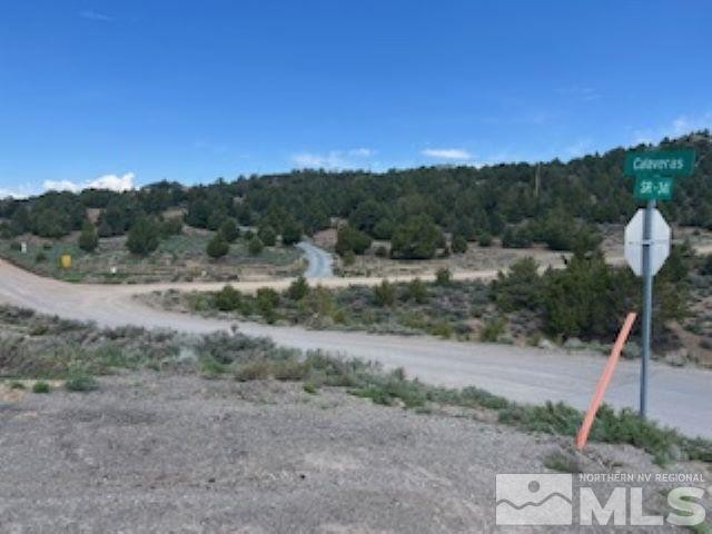 Other - 4720 Lost Burro Road lot: 473, Virginia City, NV
