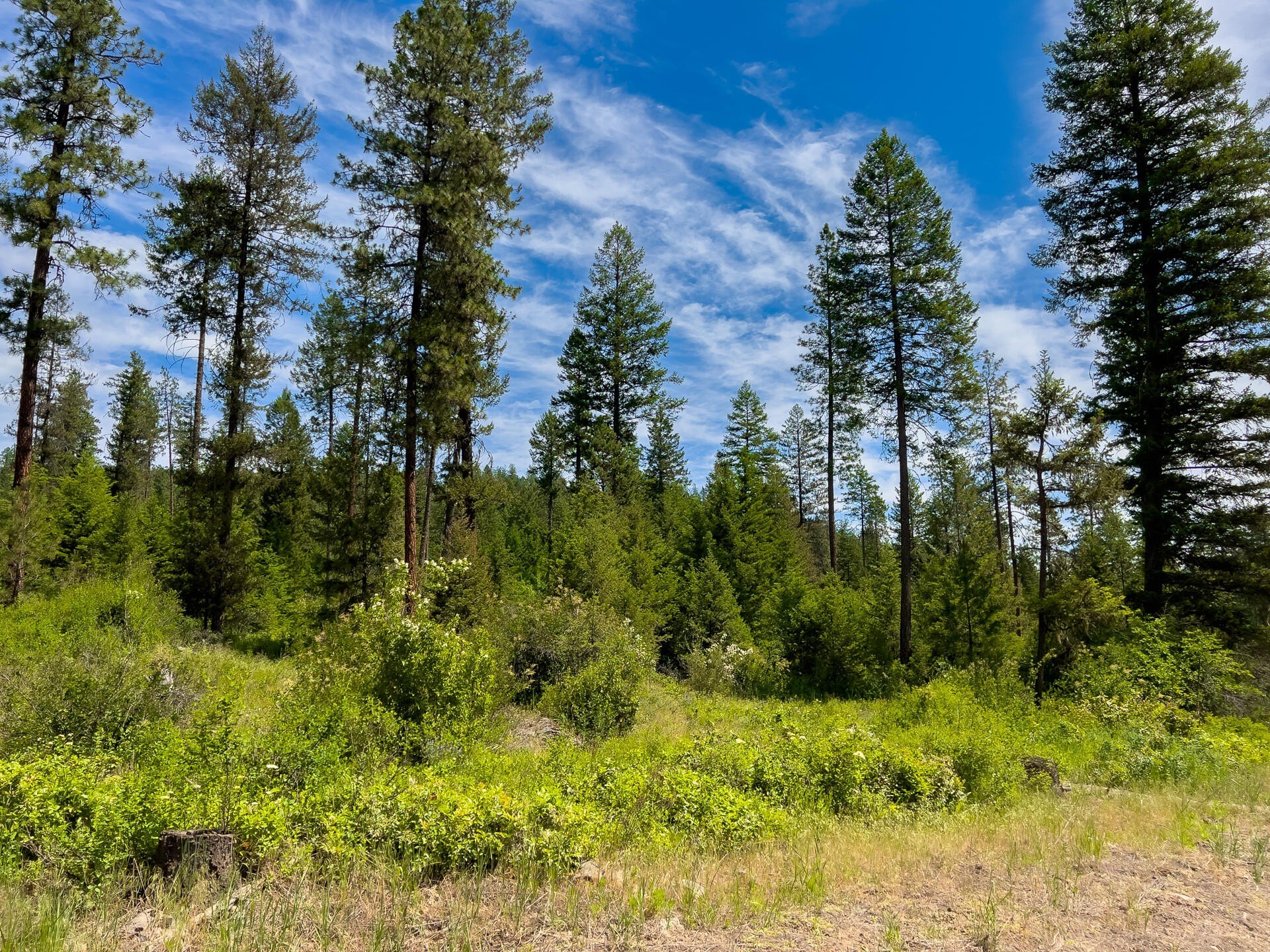 Other - 3124 ORIENT CUTOFF RD, ORIENT, WA