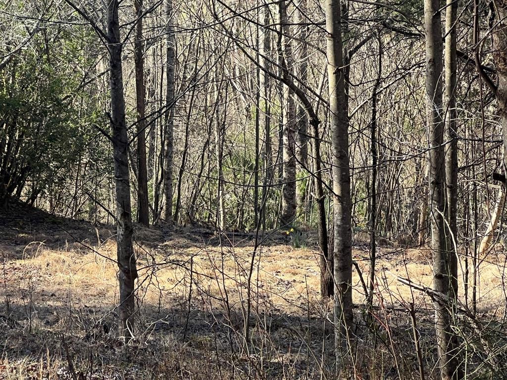 Other - Lot 59c Mountain Harbour Lot, Hayesville, NC