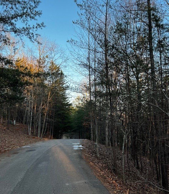 Other - Lot 18 Hidden Branch Drive, Young Harris, GA