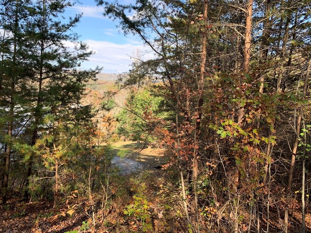 Other - 25&26 Mountain Knoll Lane, WARNE, NC
