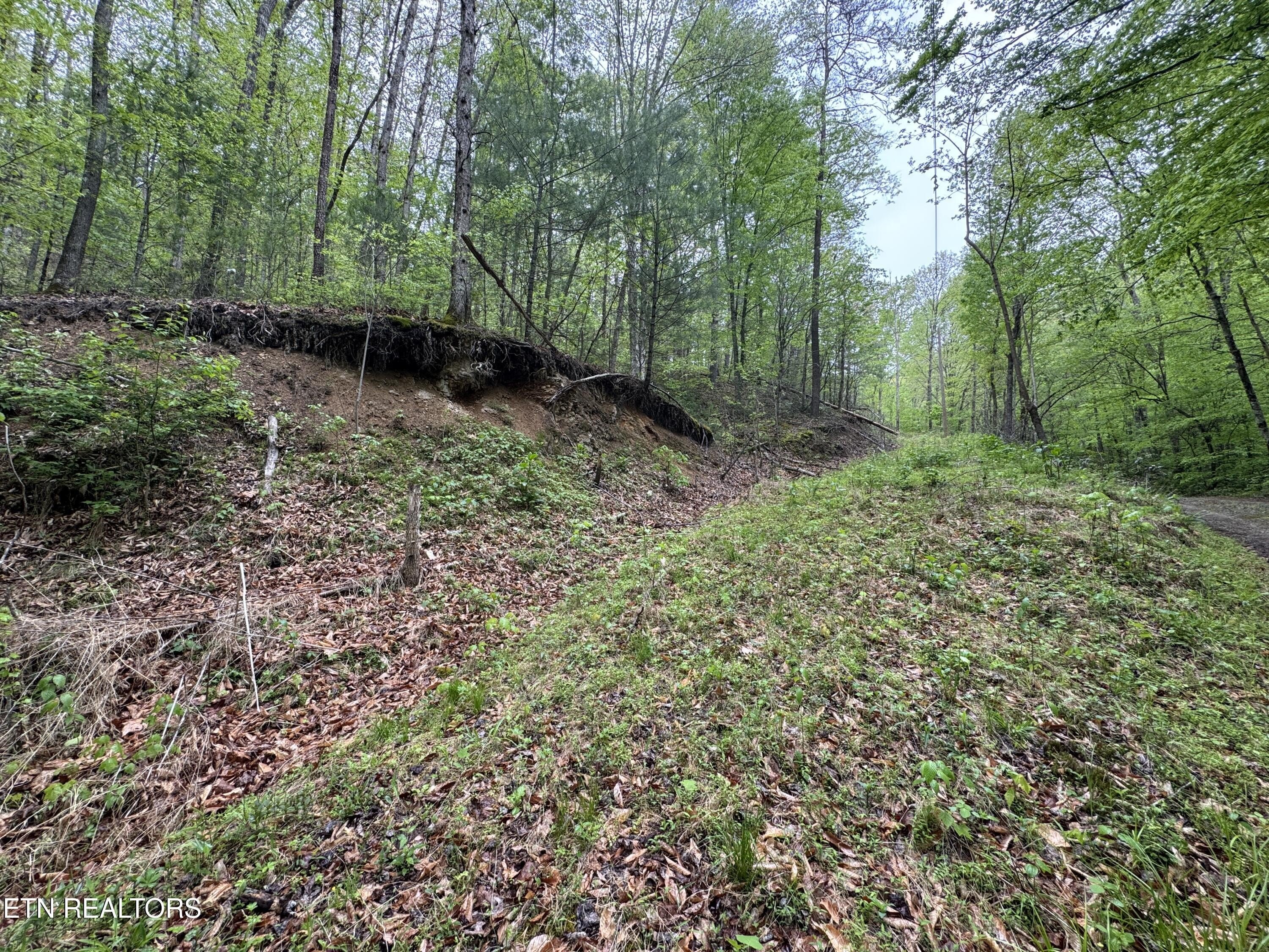 Other - 376 Summer House Hollow Rd, Del Rio, TN