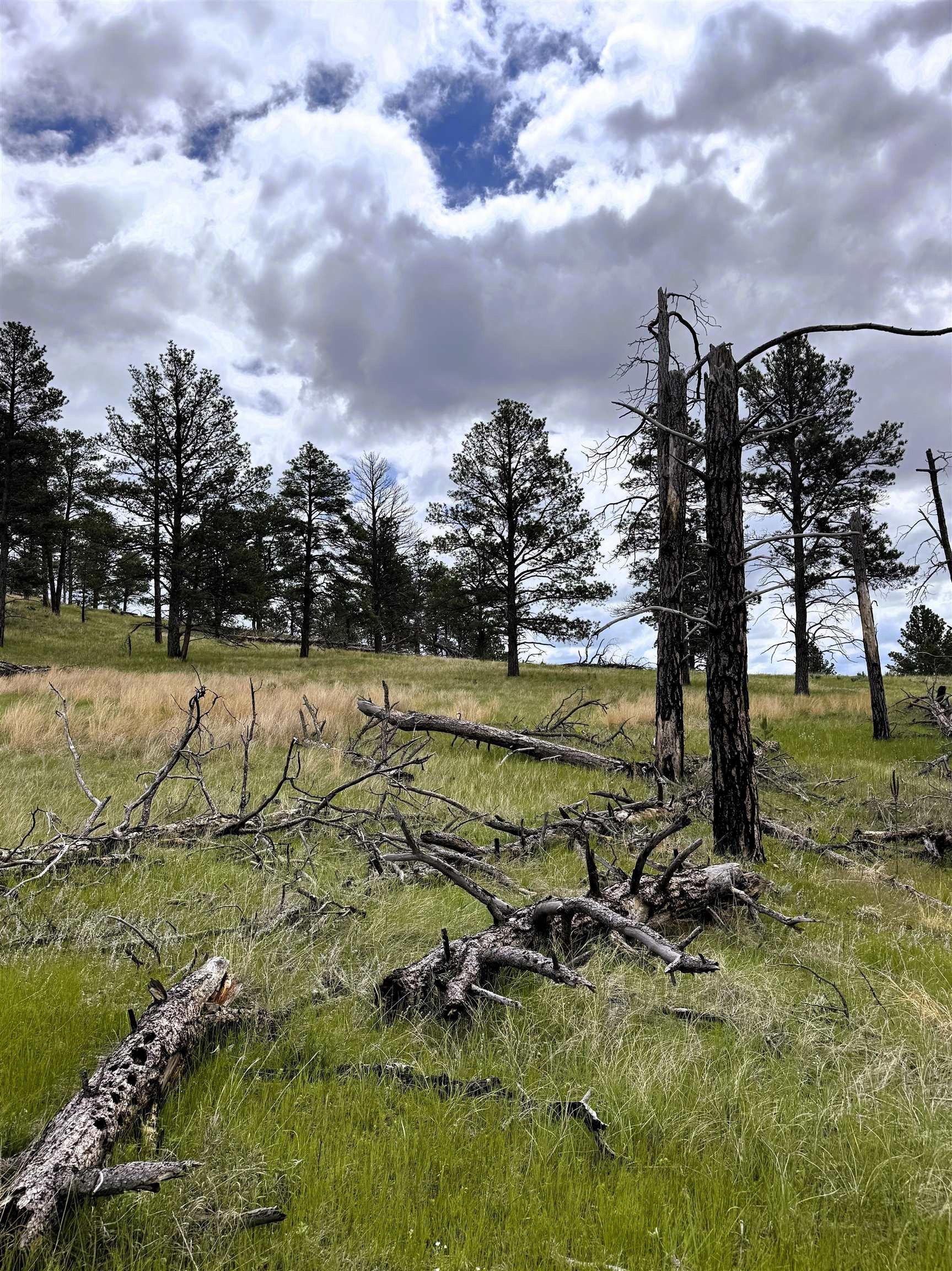 Other - 165 Gruenhagen Road, Moorcroft, WY