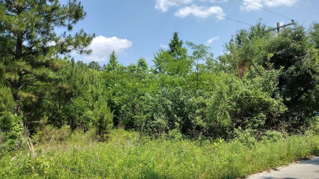 00 lot3 Meagen Ln  