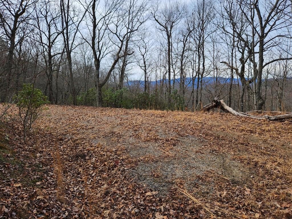 Other - Highlands Pass Trail lot: 21, Franklin, NC