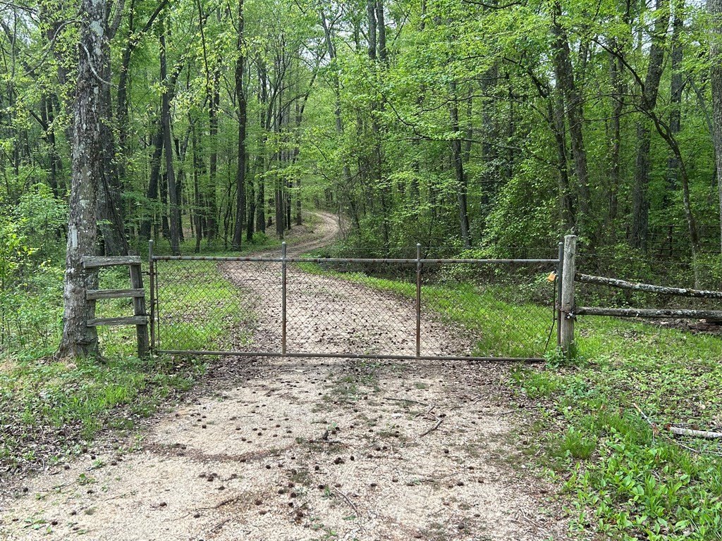 Other - OFF ELKHORN RD, SPRINGVILLE, TN