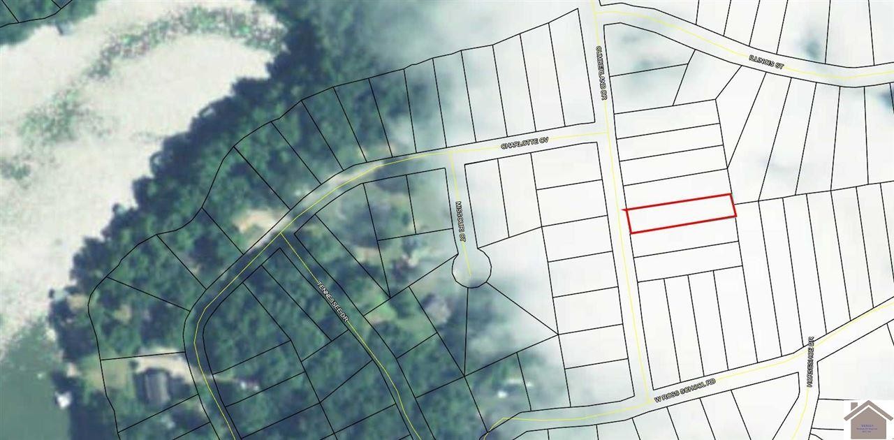 Other - Lot 164 Cumberland Drive, Cadiz, KY