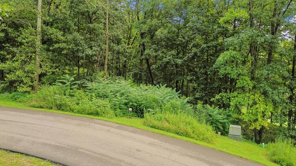 Tbd Washington Way Unit Lot 203  