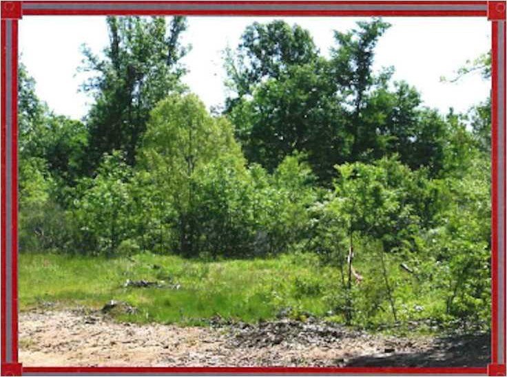 Plots and Land - 0 Highway 789, Keithville, LA
