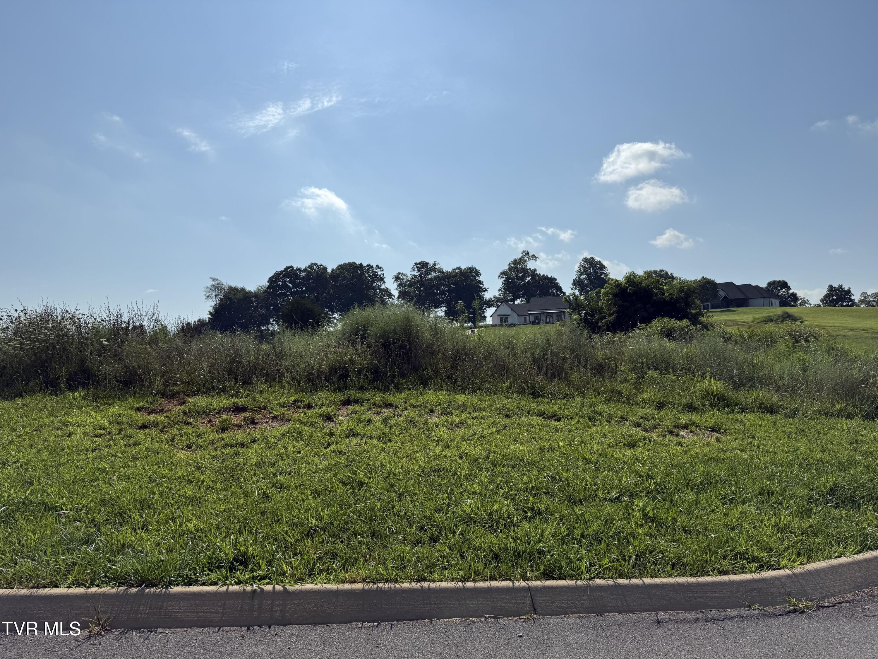 Other - Uncle Buddy'S Way lot: 52, Jonesborough, TN