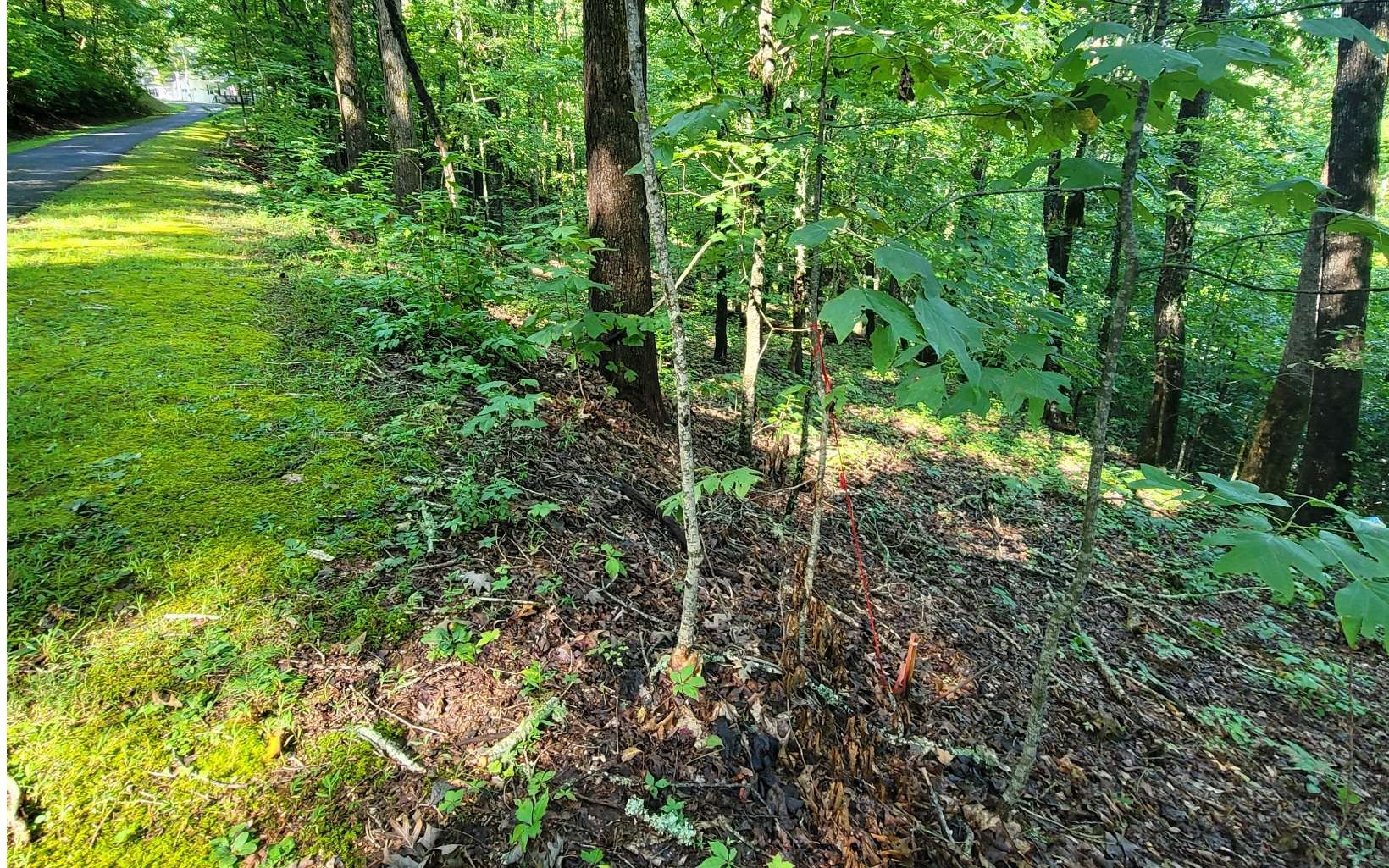 Other - 154-5 Dogwood Circle lot: 154-155, Hayesville, NC