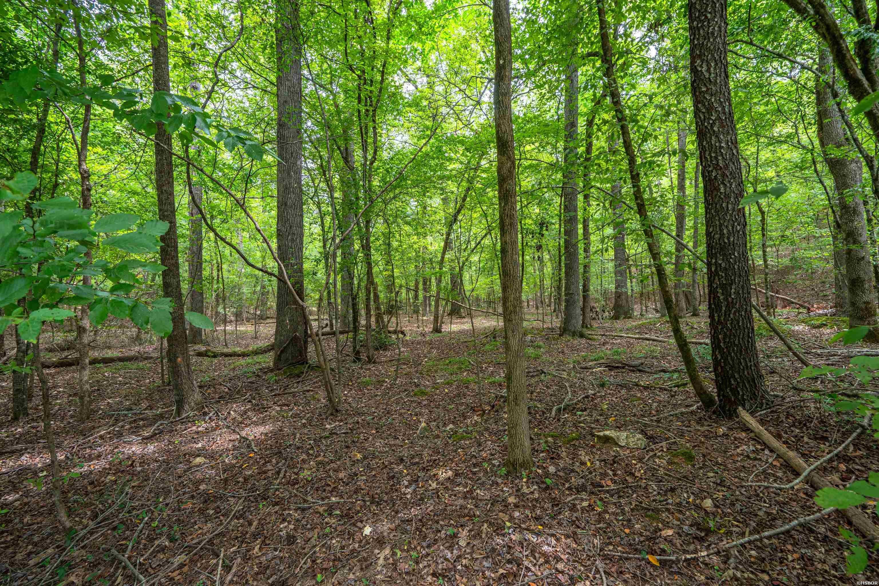 Single Family - Lot 16 DEER RUN, Malvern, AR