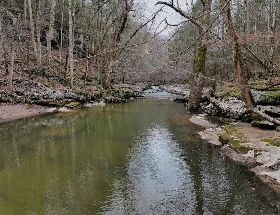 Other - 7.08ac Hollow Creek Lane, Clarkrange, TN