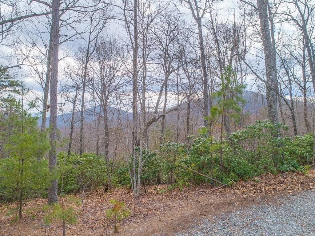 Other - Lot 33 Laurel Brooke S/D, Blairsville, GA