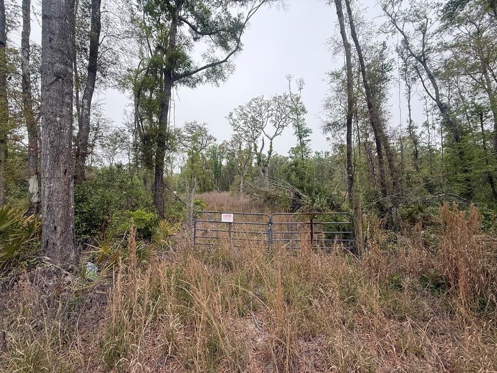Other - LOT 12 355th Ave, Old Town, FL
