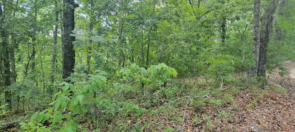 Lot 105 Dogwood Dr  