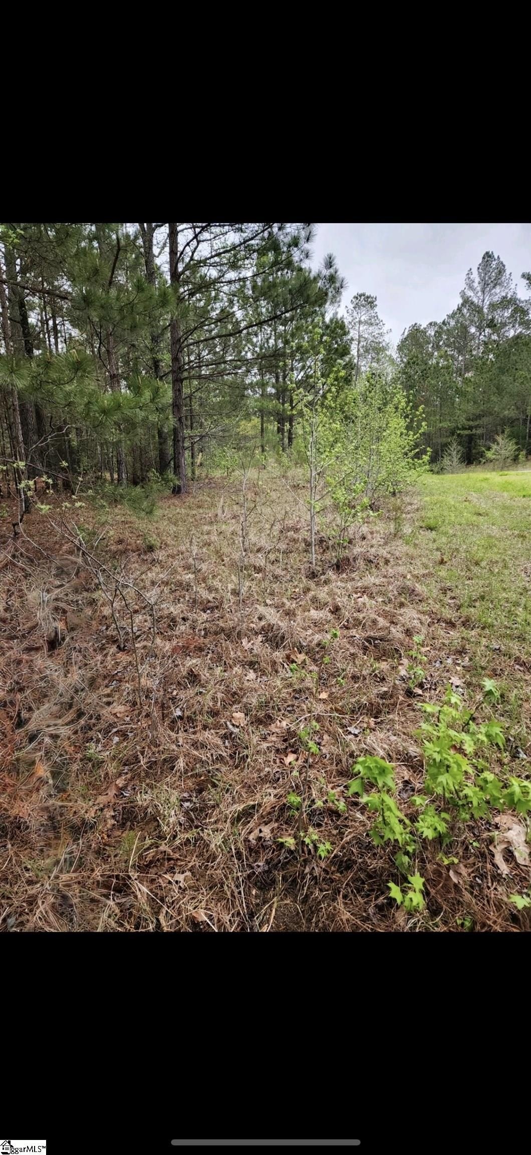 Other - 314 Watersedge Drive, Cross Hill, SC