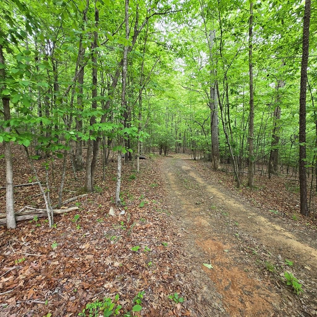 Other - 3.5acre Dusty Trail, Morganton, GA