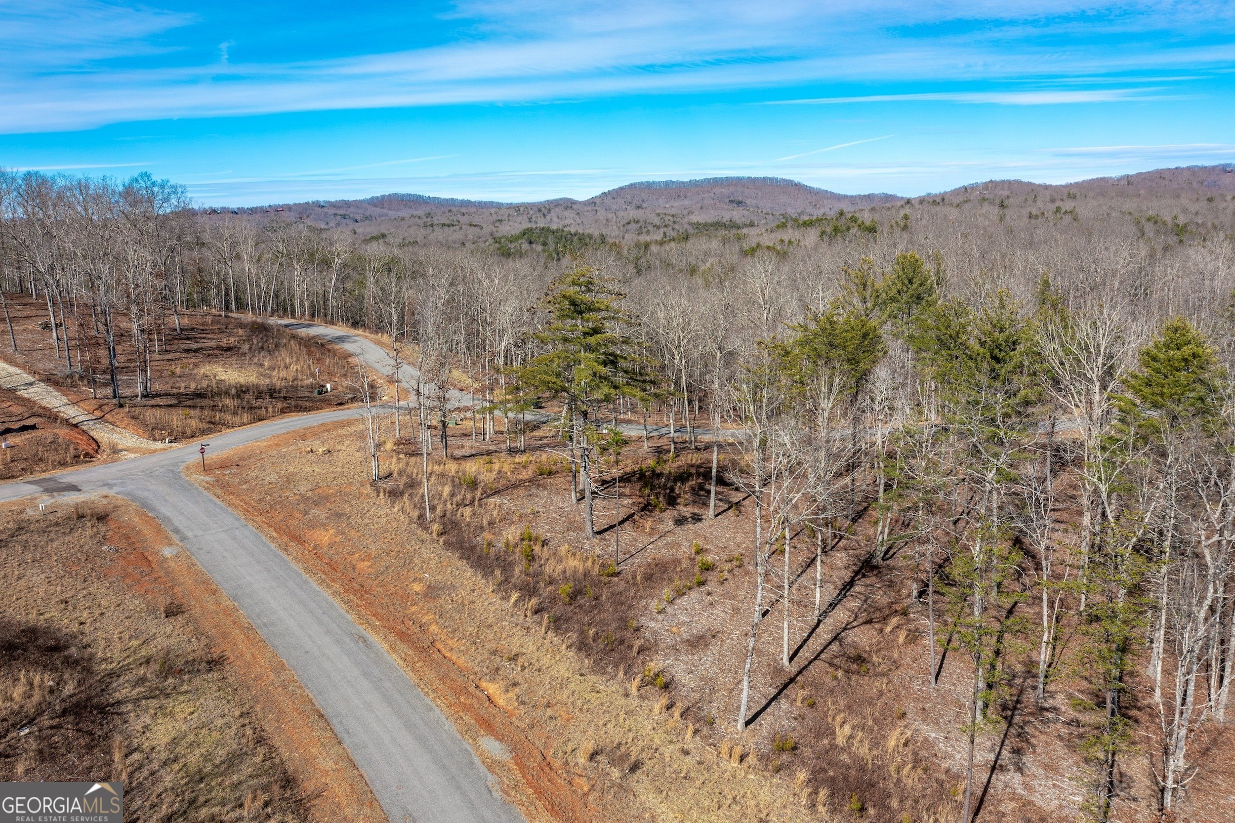 Other - LOT 61 Ridges DR, Blue Ridge, GA