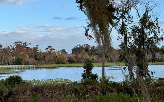 Single Family - SW LAKE VIEW AVE., Lake City, FL