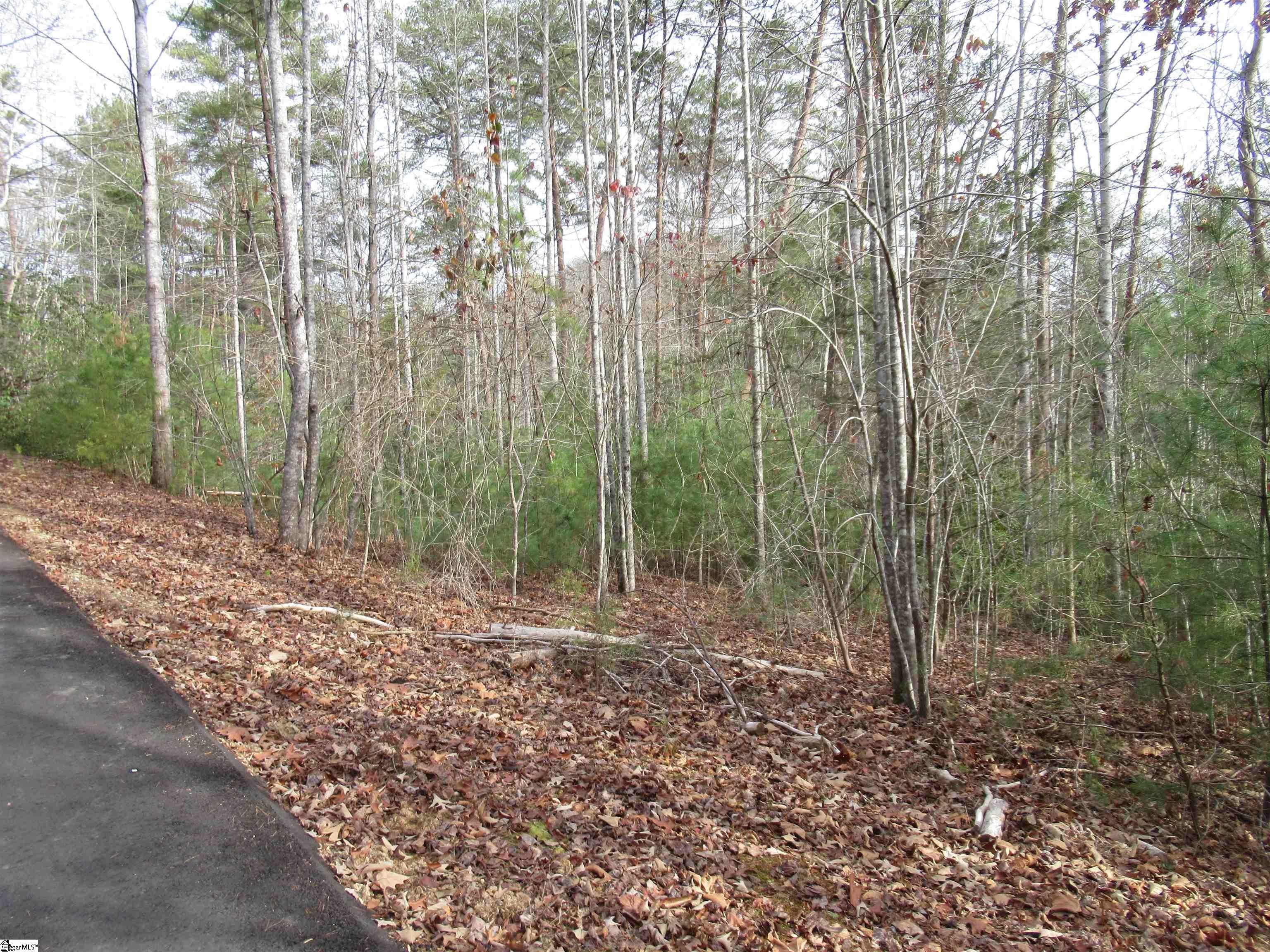 Other - 110 Fireside Lane, Pickens, SC