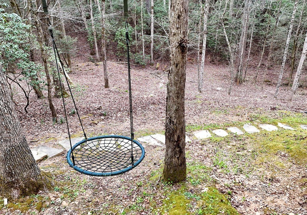 Other 5BR 4BA - 2587 Goose Island Road, Cherry Log, GA