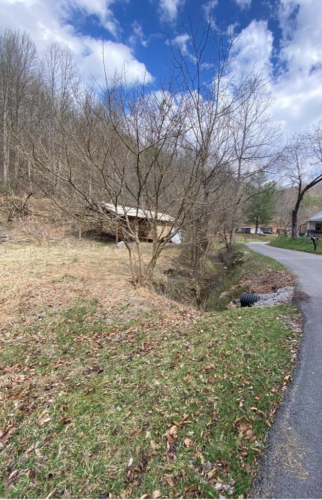 Other - 36 Rays Branch, Varney, KY