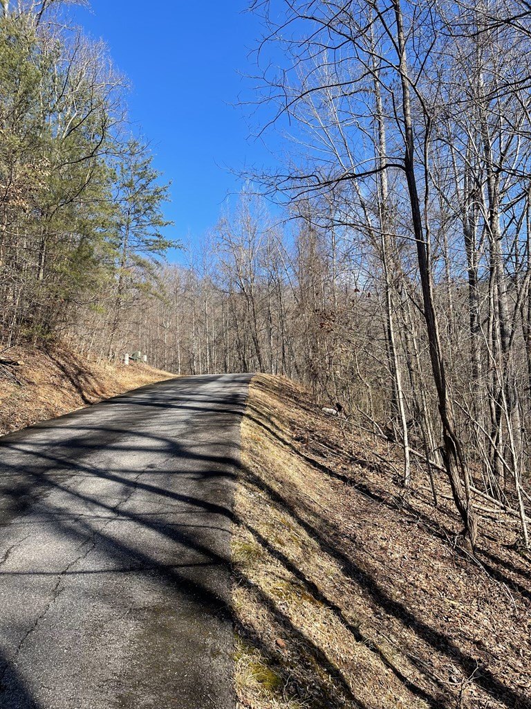 Other - Lot 37C Ash Branch Circle, HAYESVILLE, NC
