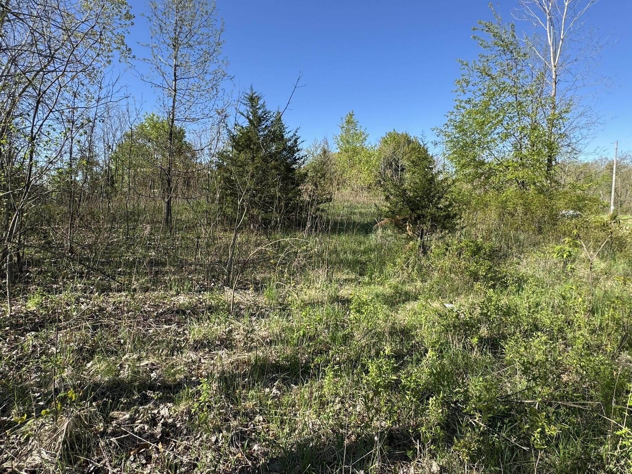 Other - Lot C Stoney Lane, Eaton Rapids, MI