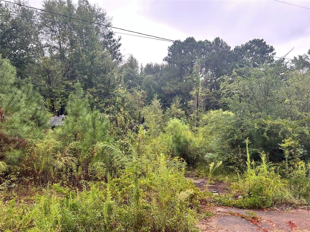 Other - 162 Lewis Loop, Cotton Valley, LA