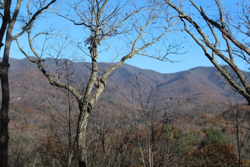 Other - 1 Gabriel Ridge, Hayesville, NC