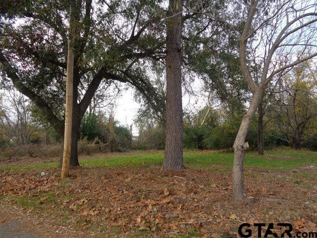 Single Family - 817 Carver, Winnsboro, TX