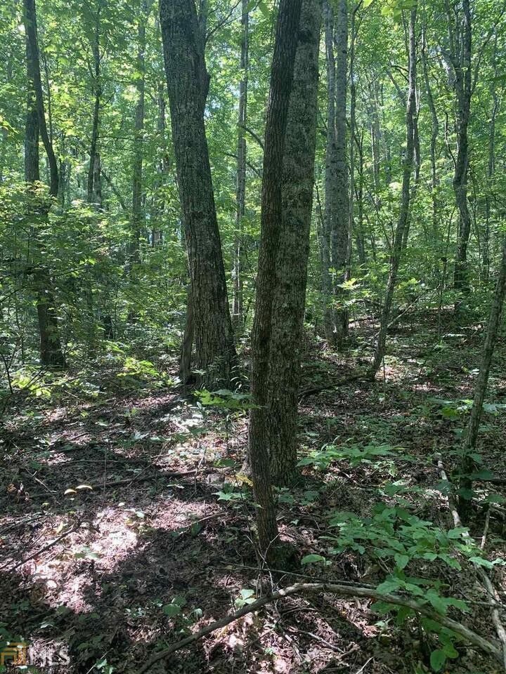 Other - N Woods Point unit: 3, Sky Valley, GA