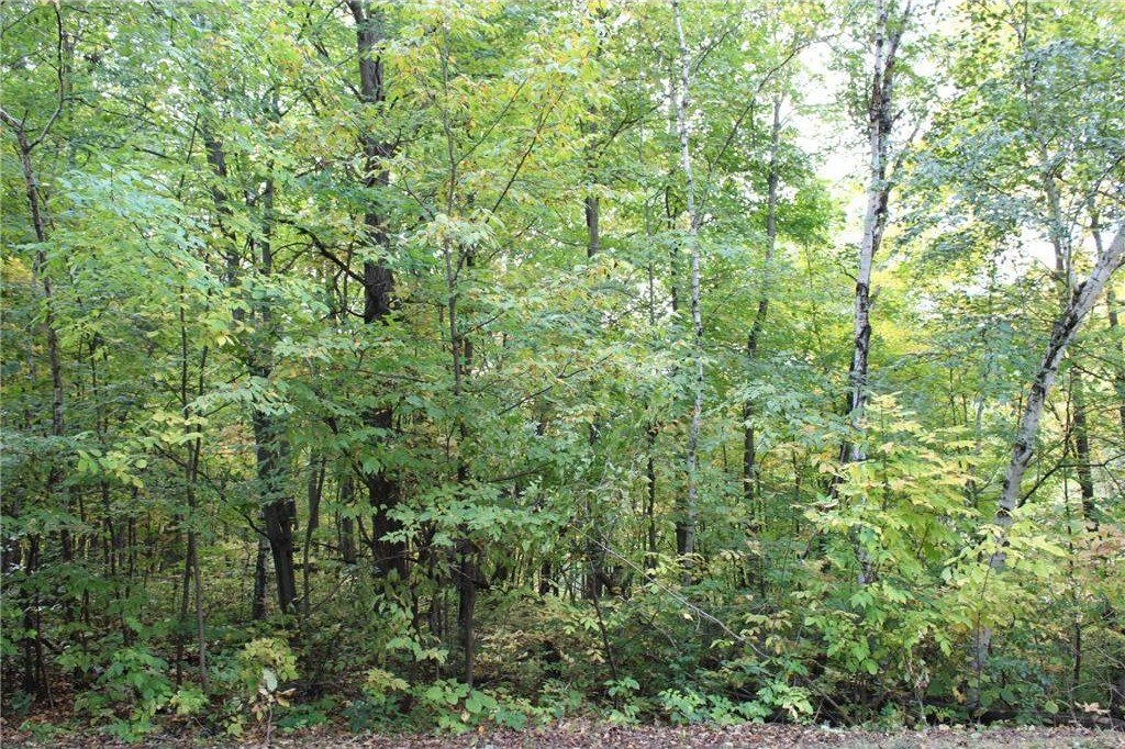 Other - St Croix Trail, Taylors Falls, MN