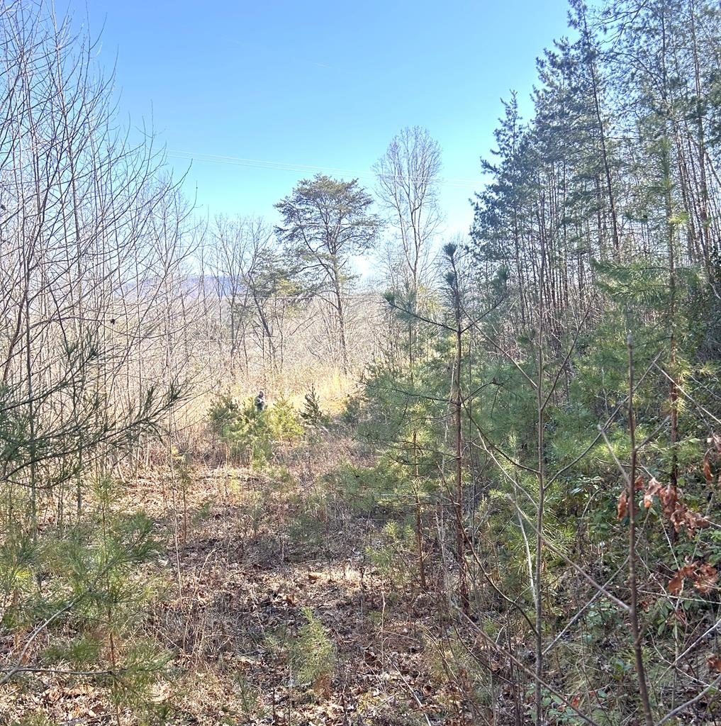 Other - 1 Tanger Rd, Whittier, NC
