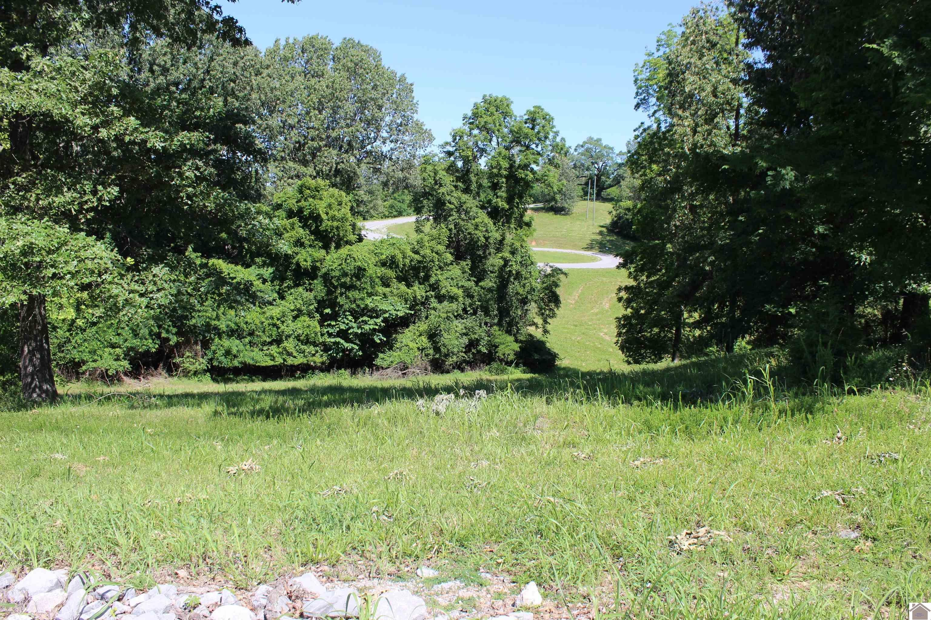 Other - Lot 38 Oak View Lane, Eddyville, KY