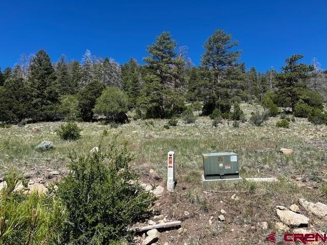 Other - Ellingwood Drive, South Fork, CO