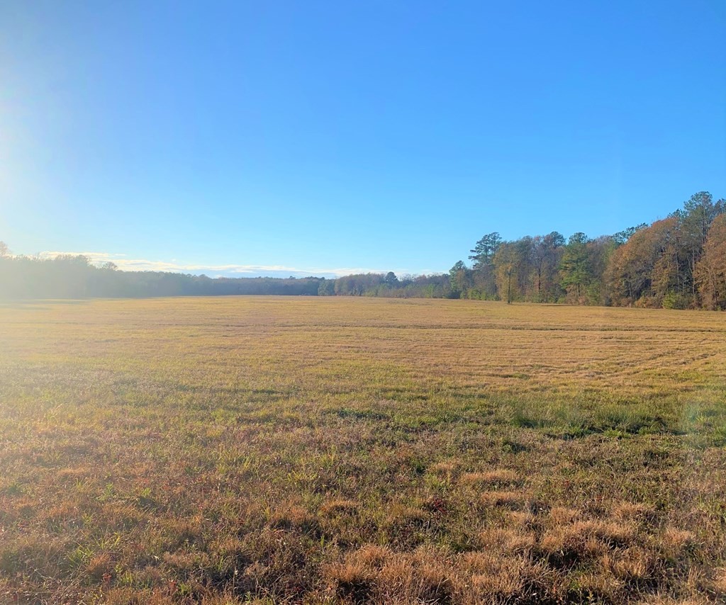 Other - 00 Palmer Rd, Ellisville, MS