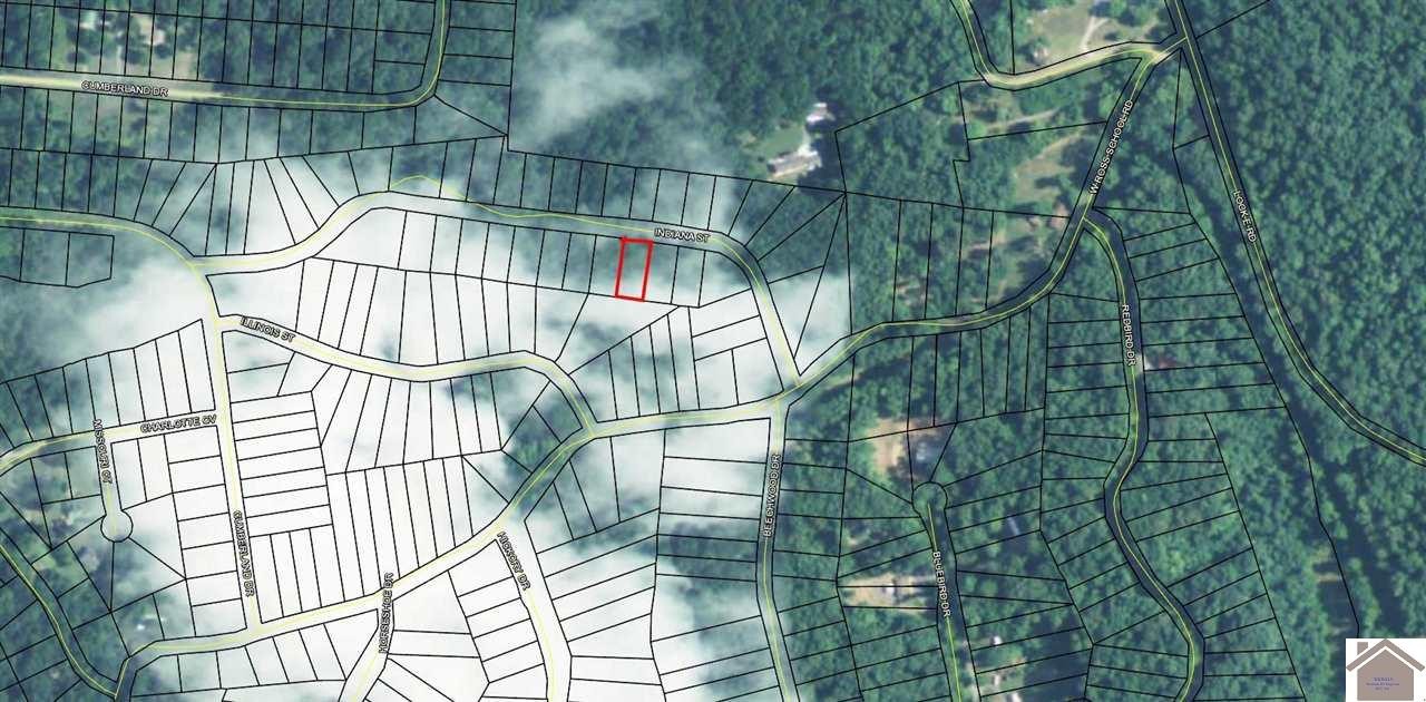 Other - Lot 204 Indiana Street, Cadiz, KY