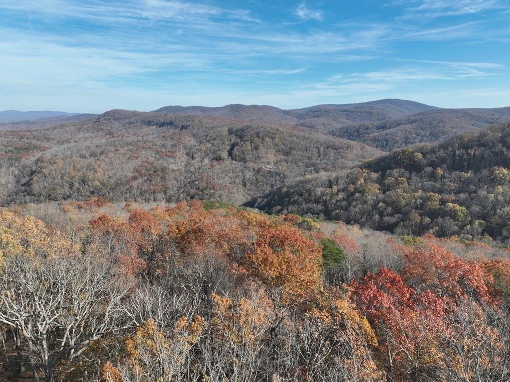 Other - 274 Andes Ridge, Ellijay, GA