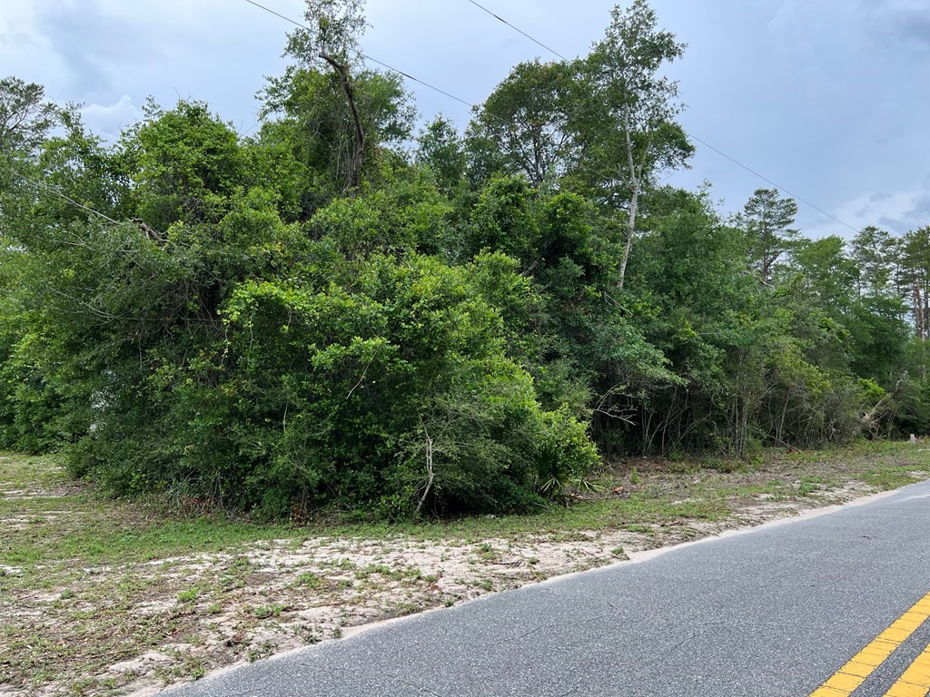 Other - 142 Indiana St, Carrabelle, FL
