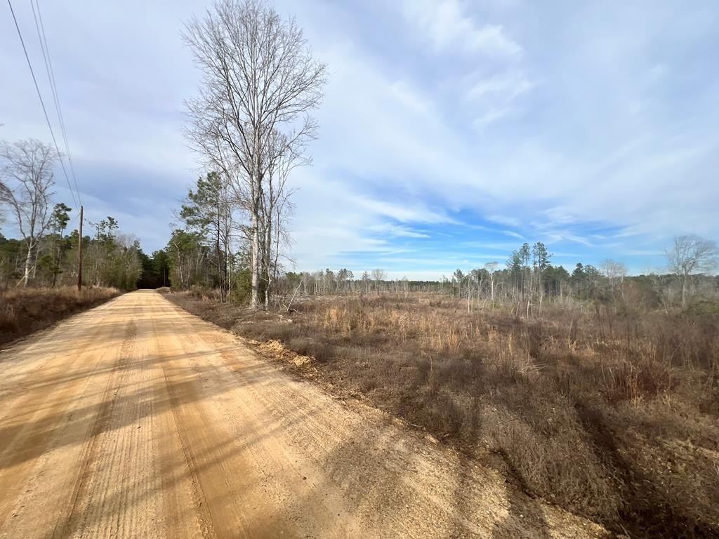 Other - - Strickland Road, Waynesboro, MS