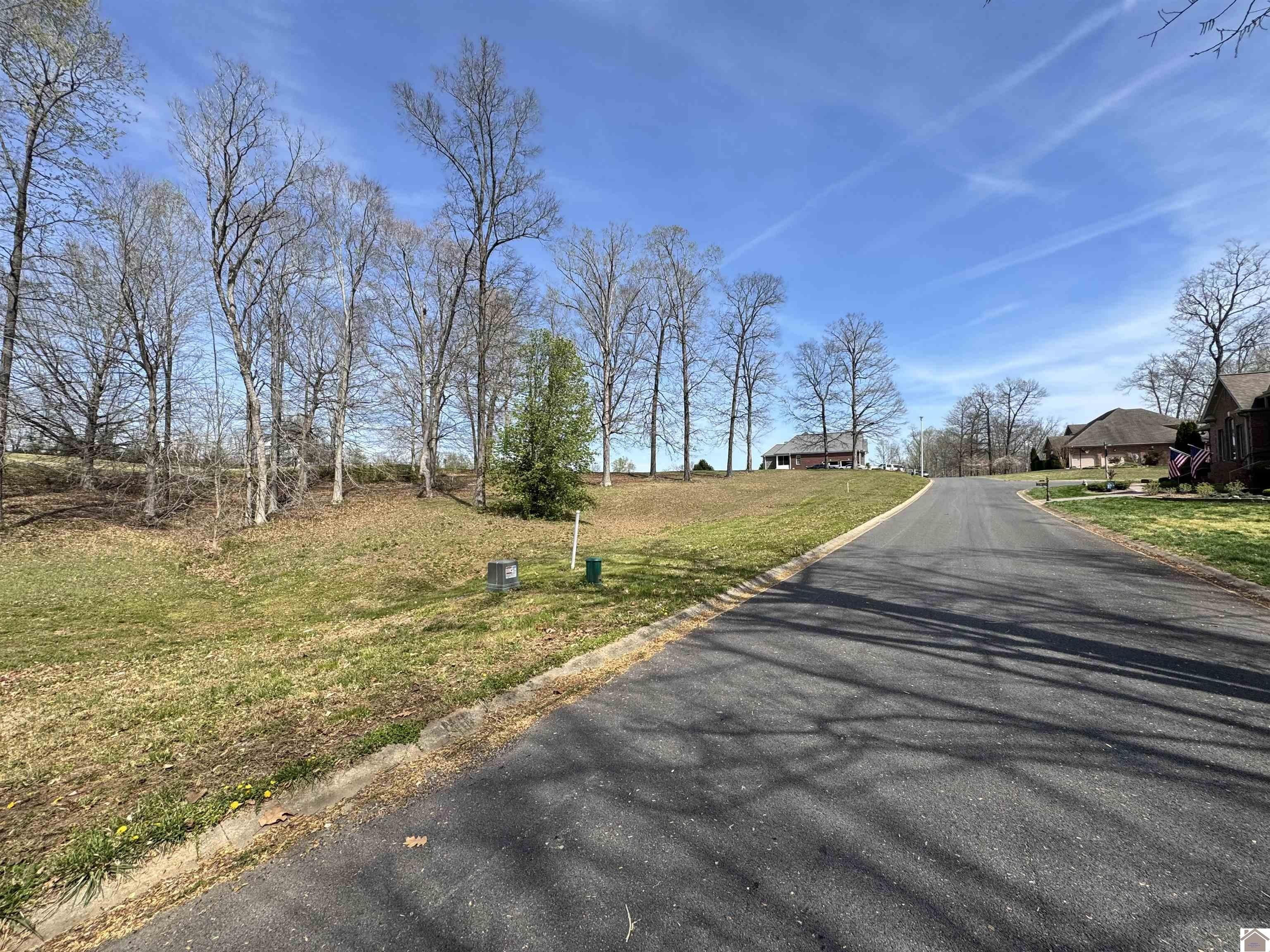 Other - Comanche Dr. lot: 8, Cadiz, KY