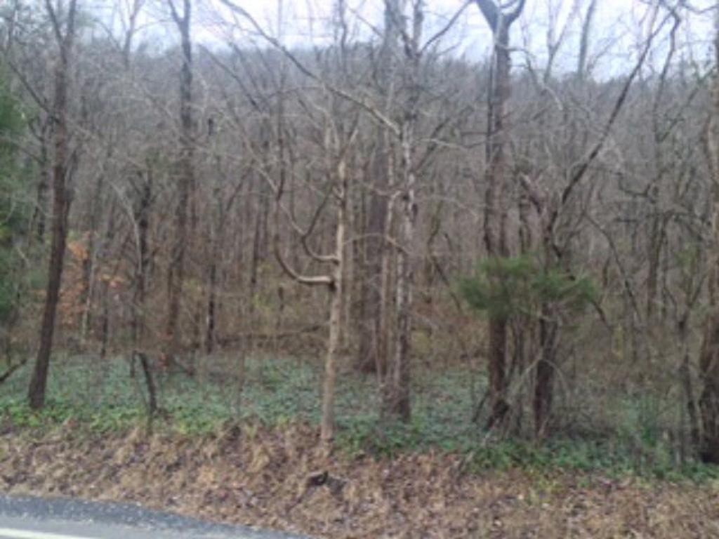 Other - 0 Highway 610 West Map# 039-00-00-016.04, Jonancy, KY